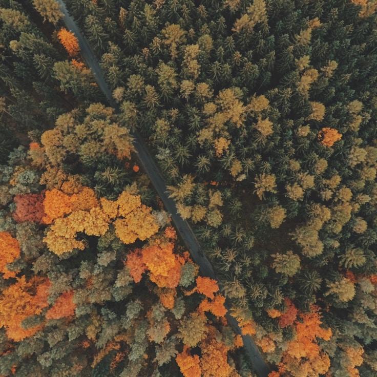 Alpine wilderness landscape