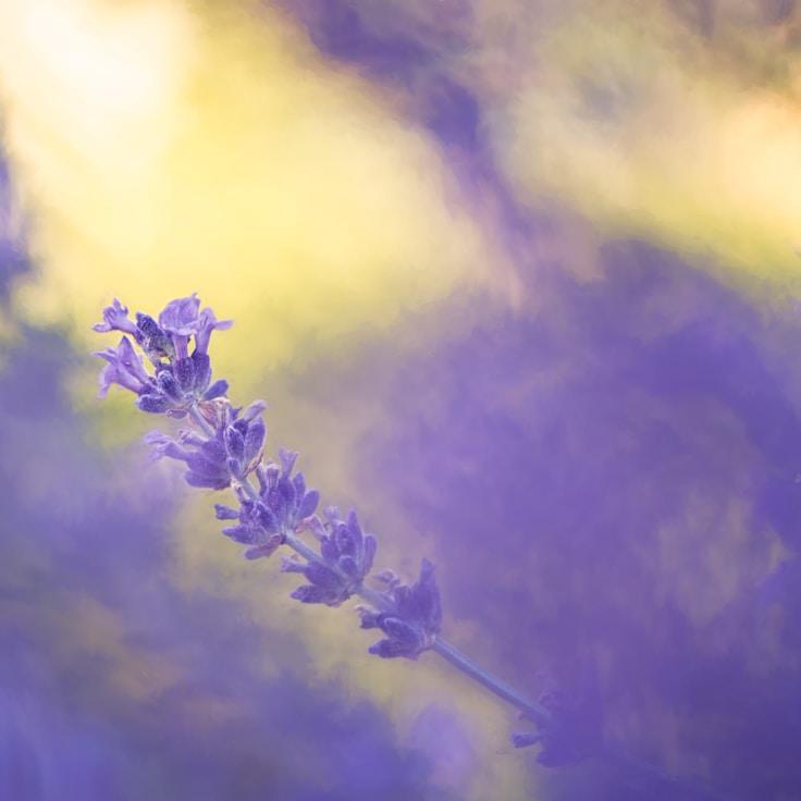 Low-impact nature route